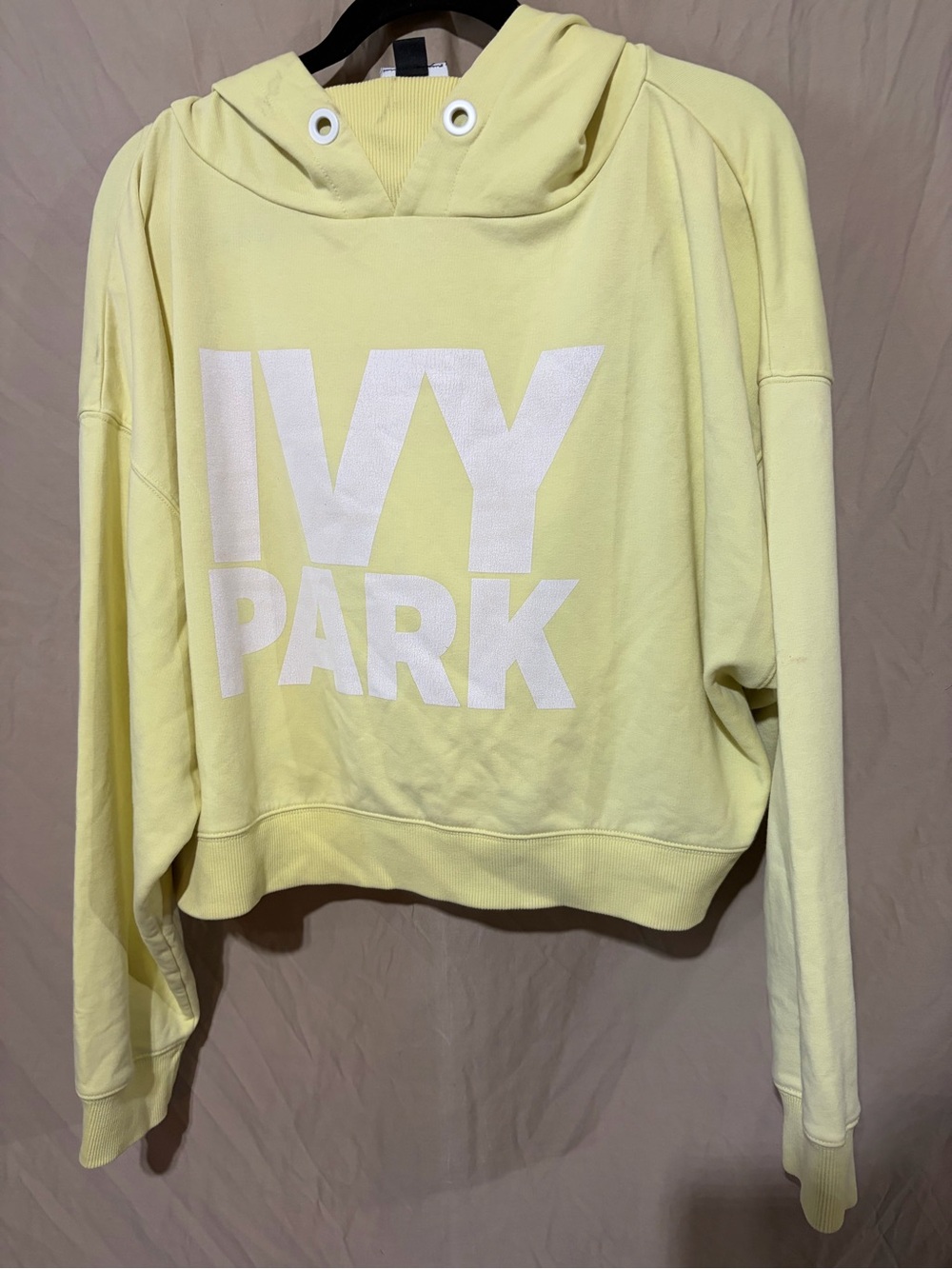 Ivy park sweatshirt